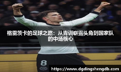 zoty中欧官方网站
