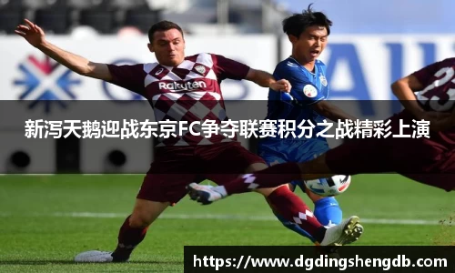 新泻天鹅迎战东京FC争夺联赛积分之战精彩上演